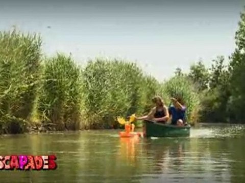 Escapades : A Notre Dame-de-Monts (Vendée)