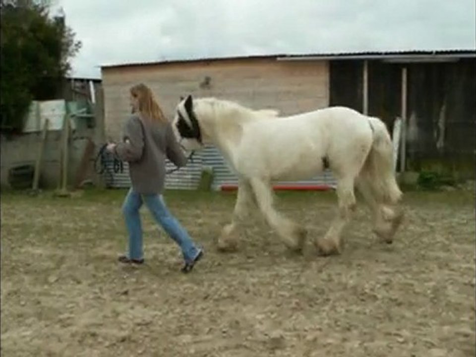 1er trot en main
