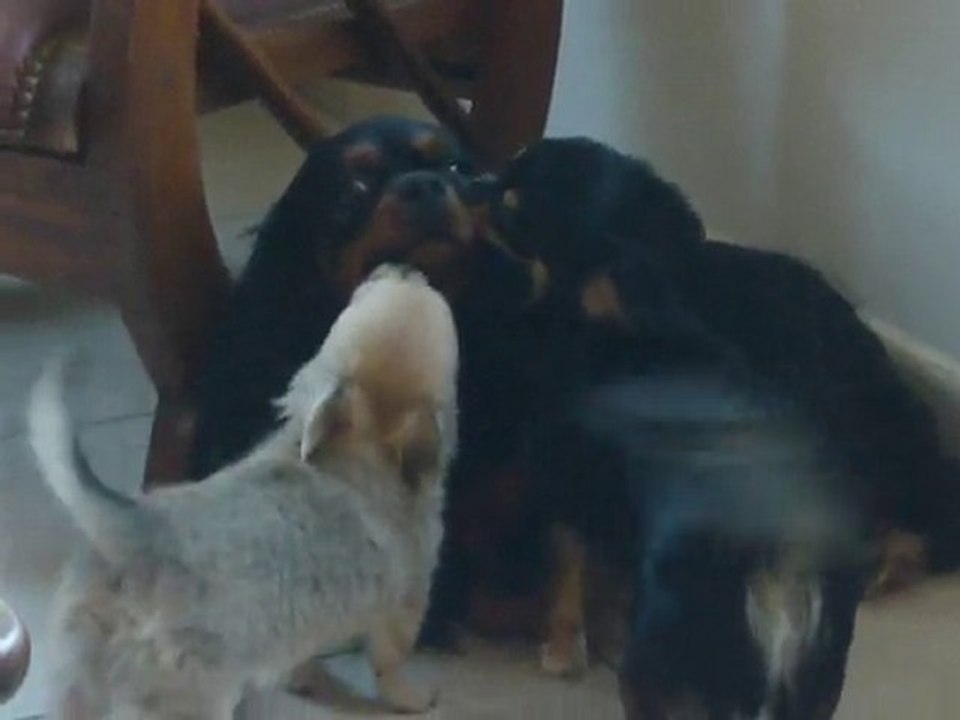 bahia se faisant bisouter