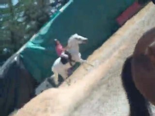 Albane et Crin Blanc