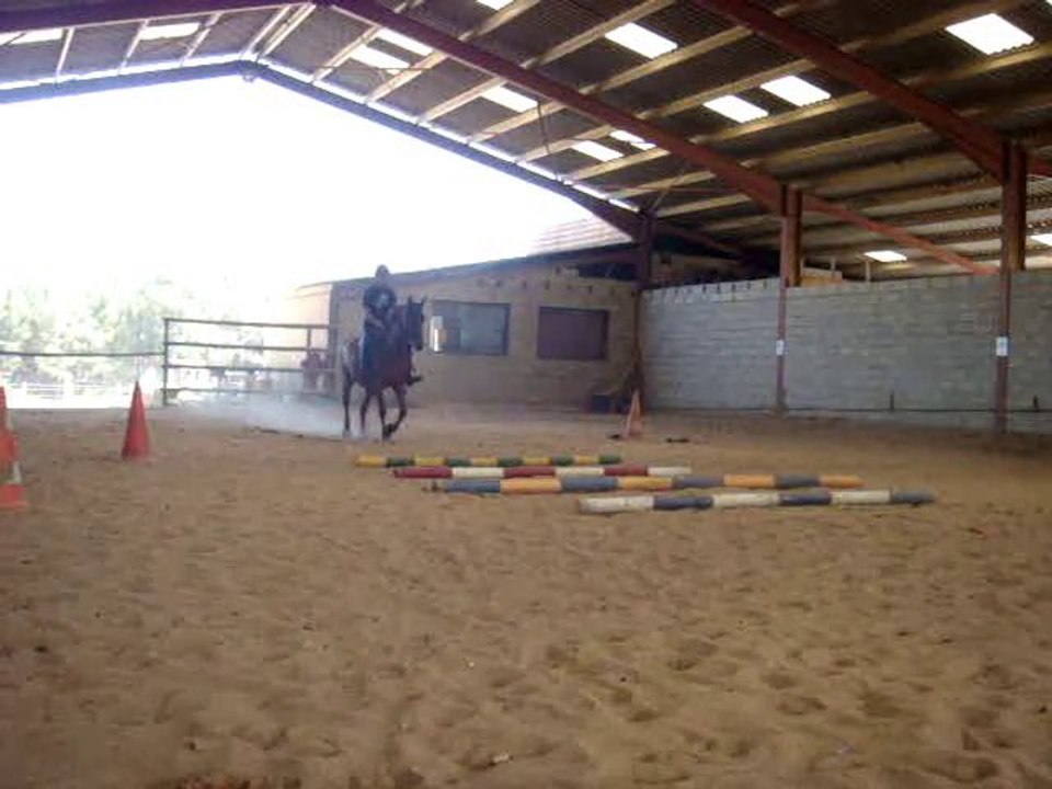 Barres au sol 20.07.10