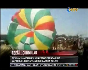 Eşeği Uçurdular