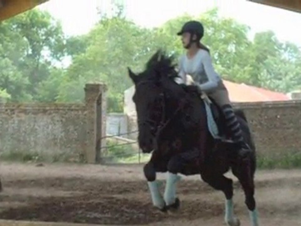 ❤ mon cheval & moi ❤