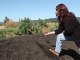 How To Compost: Tips, Learnings from our Vineyard Manager