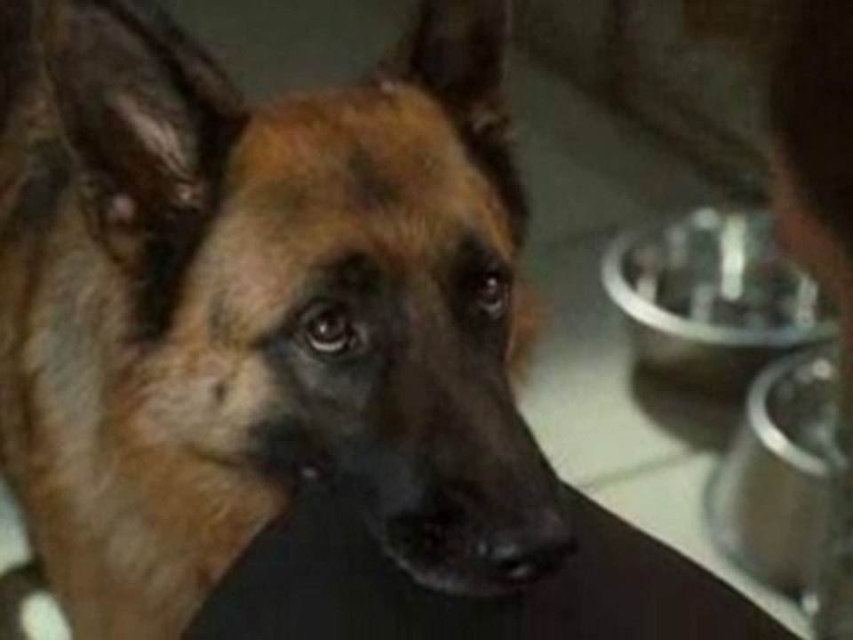 Cats and Dogs 2 - Get you out of here