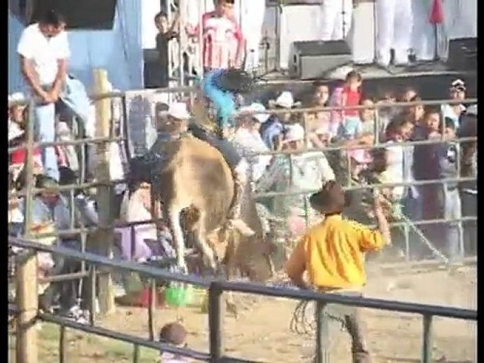 Toros 2