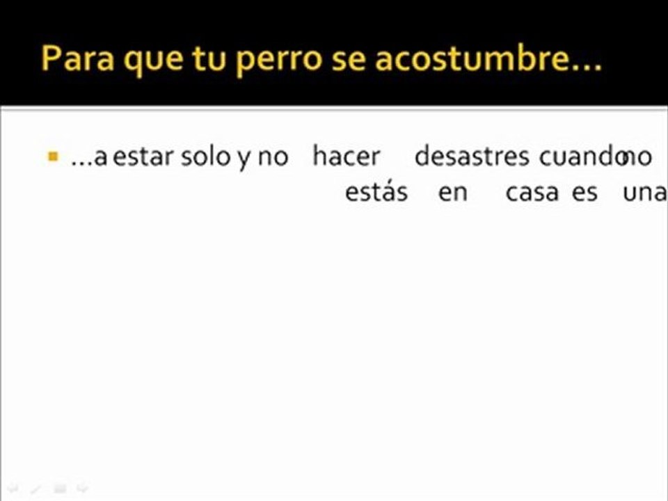 Como Educar A Un Cachorro