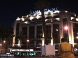 Les palmiers de Paris Plages