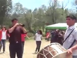 2010 yaz şenlikleri