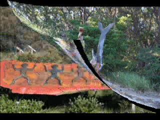 J10 - J17 La Marche de l'Honneur