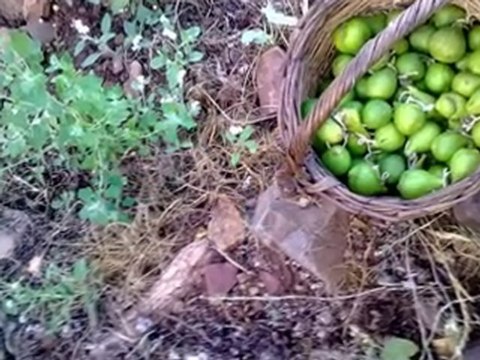 ben ÖLÜRSEM AKSAM ÜSTÜ ÖLÜRÜM