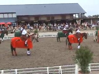 Lamotte 2010  - Grand Carrousel