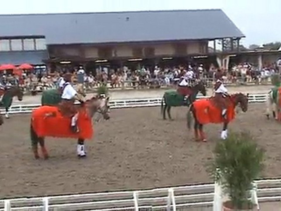 Lamotte 2010  - Grand Carrousel