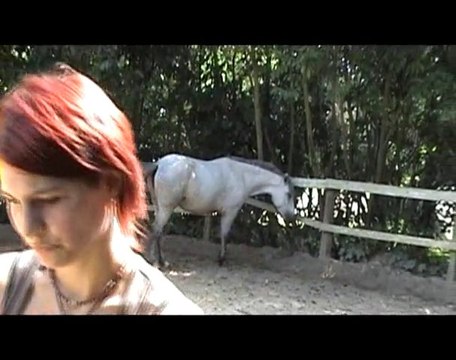 Entrainement médiéval suite : épée et bouclier