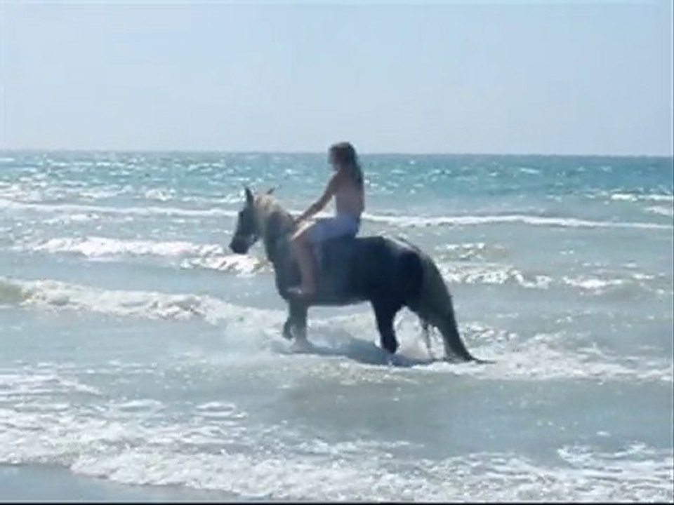 Tao plage 2010