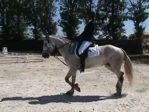 Dressage Manon - CCE Ponam D2 Excellence - Lamotte 2010
