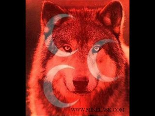 ey kelepcemin sahibi / WWW.MINELASK.COM SESLICHAT