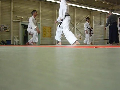 karaté do shotokai travail par deux combat arts martiaux