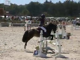 CSO n°2 Tiphaine - A2 Excellence - Lamotte 2010