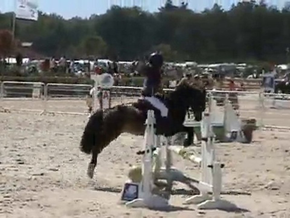 CSO n°2 Tiphaine - A2 Excellence - Lamotte 2010