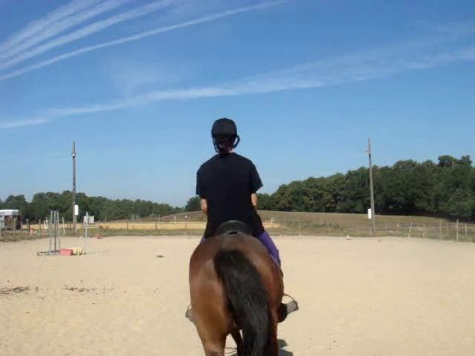 Dressage avec Inivin 20.07.10