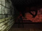 Tomb Raider III [10] Le Portail du Lude