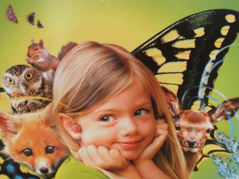 ces berges de LOIRE ...que l'on monte en bateau nantes ancen