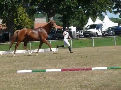 Finale CSO CIR Rosieres 2010 Presentation en main NEP