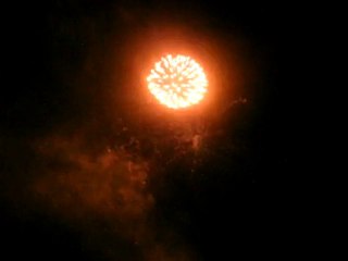 Empty Spaces Festival saumon