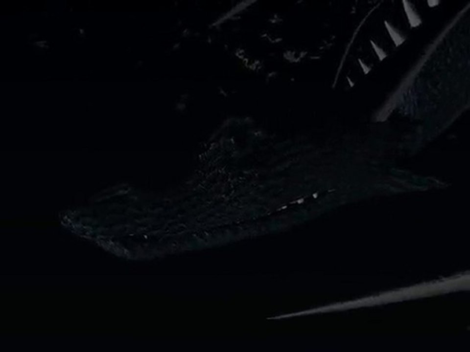 Le dragon 2