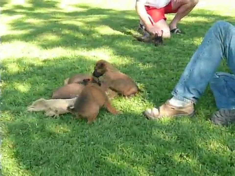 Fidji & ses frères & soeurs