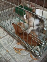 beleş masaj yapılır