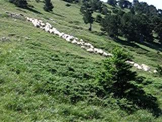 Au détour d'un chemin