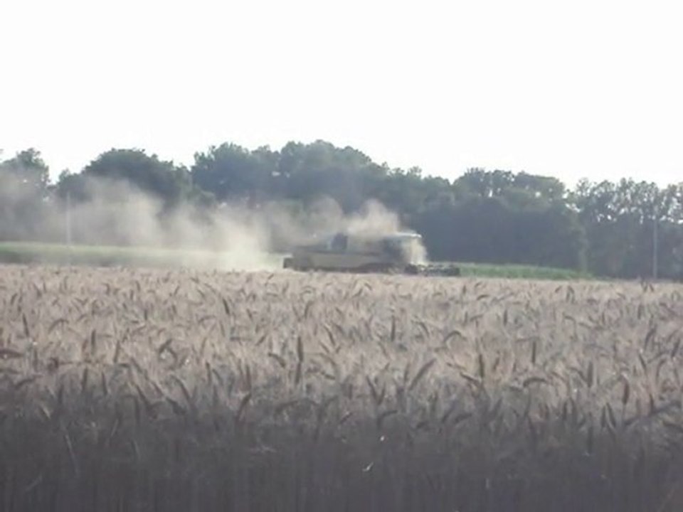 moisson de blés 2010