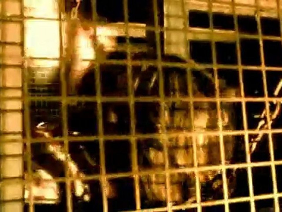 The Modern Age Slavery -(melhem)