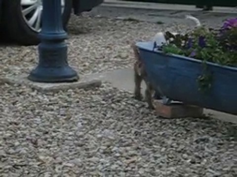 les bb d'Anaïs et Valdo