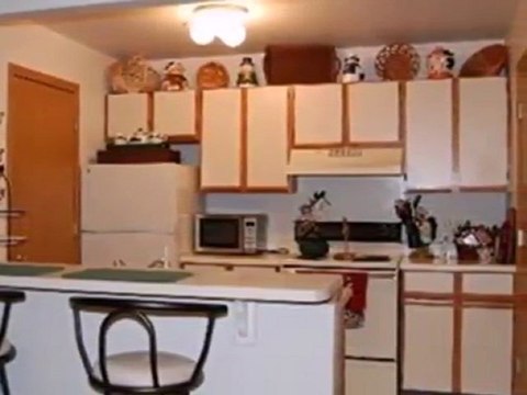 Homes for Sale - 1352 Cunat Ct Apt 2B - Lake in the Hills, I
