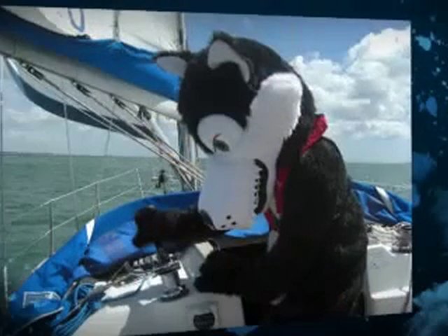 Tee-Wolf Goes Sailing