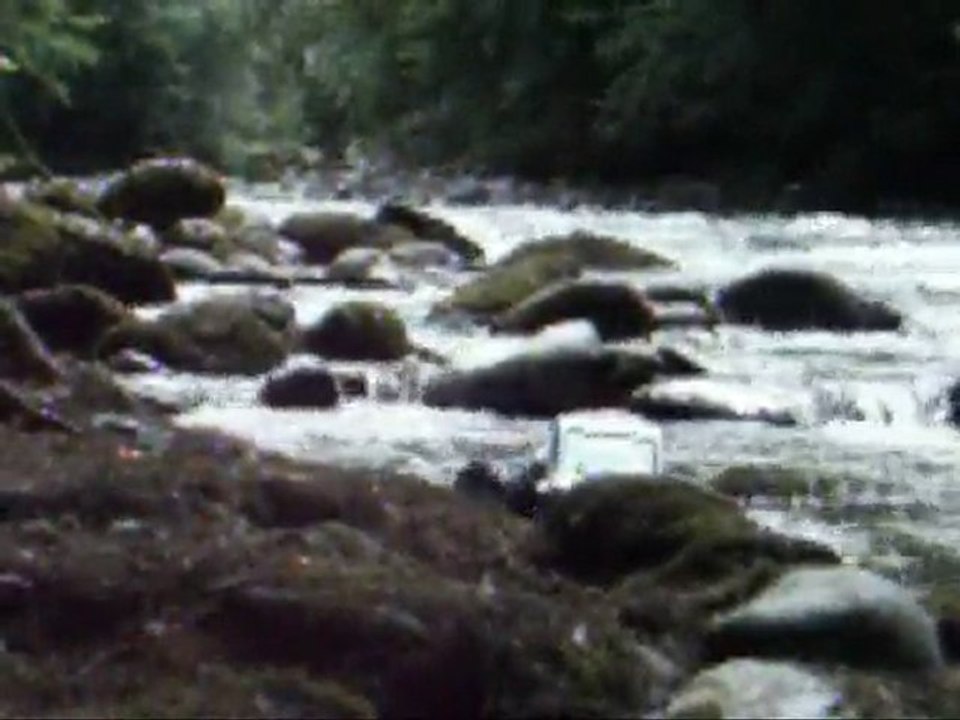 crawler HSP 1/8 juillet 2010 a Seix ARIEGE