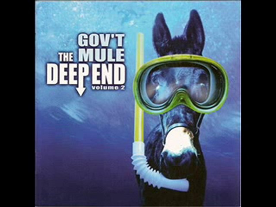 Gov't Mule - World Of Confusion