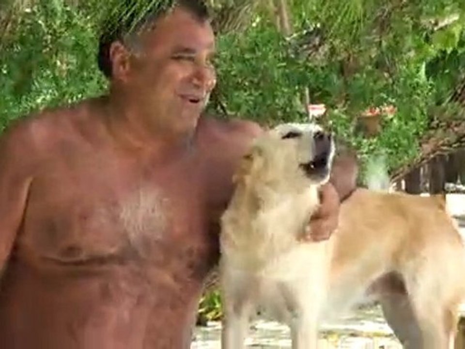 bora bora ada orkestrasi