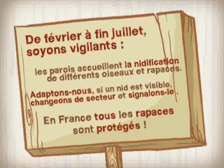 Billy et Willy : l'escalade
