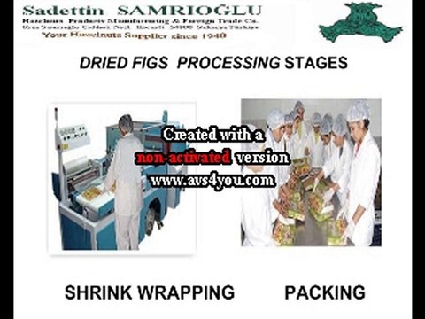 Turkish Dried Figs SAMRIOGLU Export