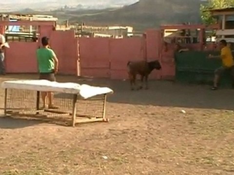 (Despedidas de soltero) en Logroño. Capea Logroño.