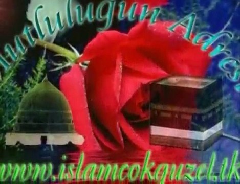 Abdurrahman Önül-Guller Acmis Ravzasında