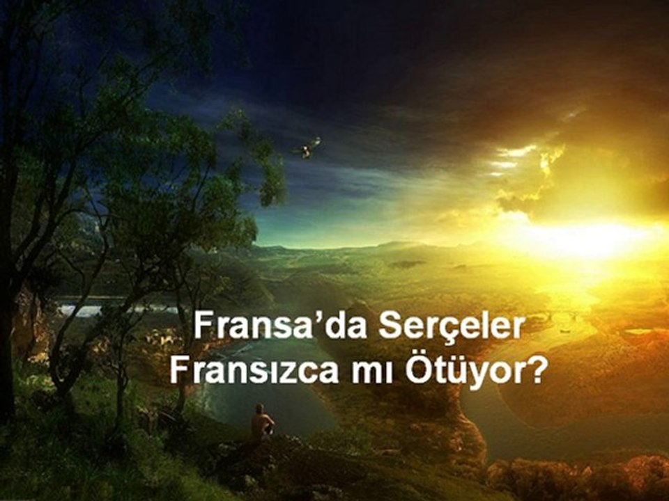 Fransa'da Serçeler