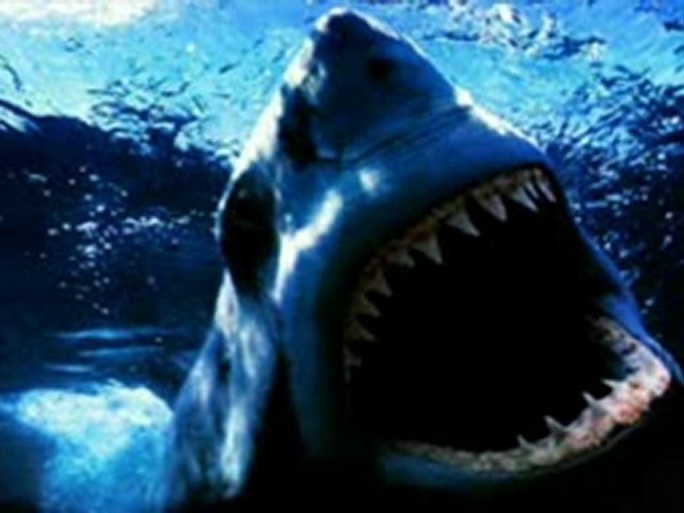 JT TF1 ou la  stratégie de la peur