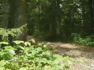 20090531 - Run & Bike Autrans