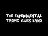 Rencontre avec The Experimental Tropic Blues Band