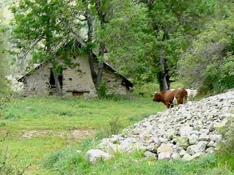 Voyage en hautes Alpes et à Briançon au pays des marmottes